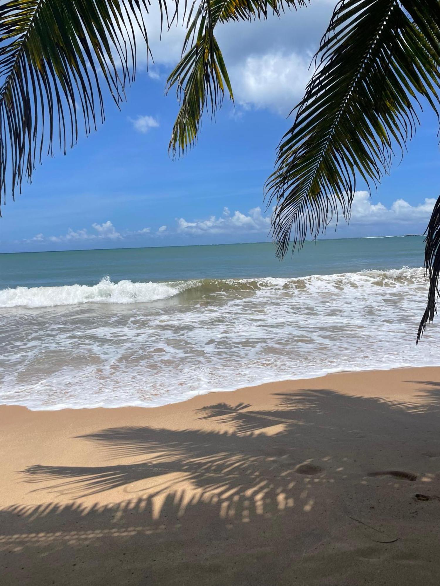Frangipani Beach Villa Тангалла Экстерьер фото